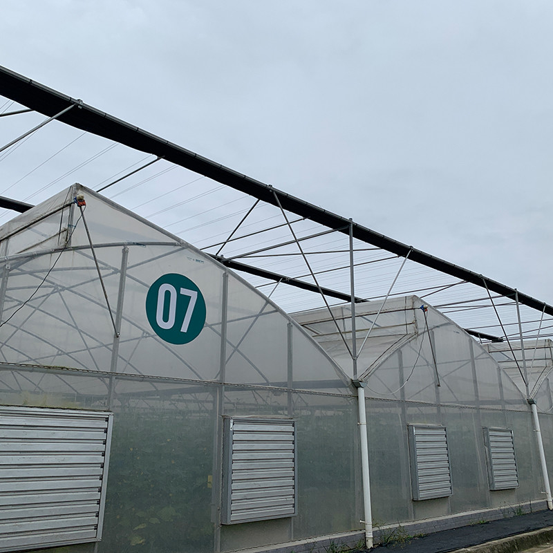 Vendiamo serre a misura di polistirolo con pellicola UV
