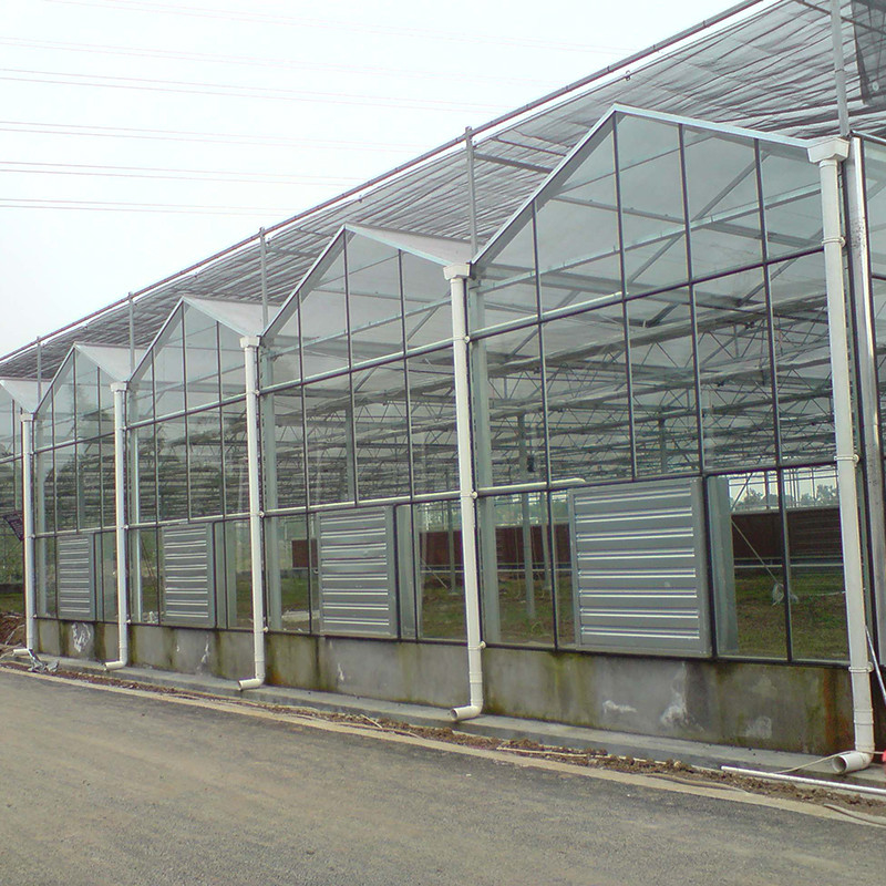 Struttura in acciaio galvanizzato a caldo Ventilazione automatica Vetro agricolo Venlo Serra per semini di pomodori multi-span