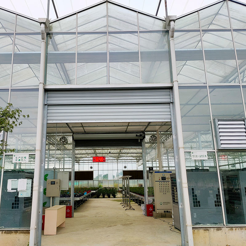 Struttura in acciaio galvanizzato a caldo Ventilazione automatica Vetro agricolo Venlo Serra per semini di pomodori multi-span