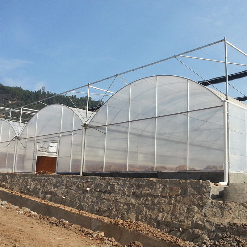 Commerciale Polytunnel Multi-Span Serra Modular Design Coltivazione su larga scala Film UV in acciaio galvanizzato