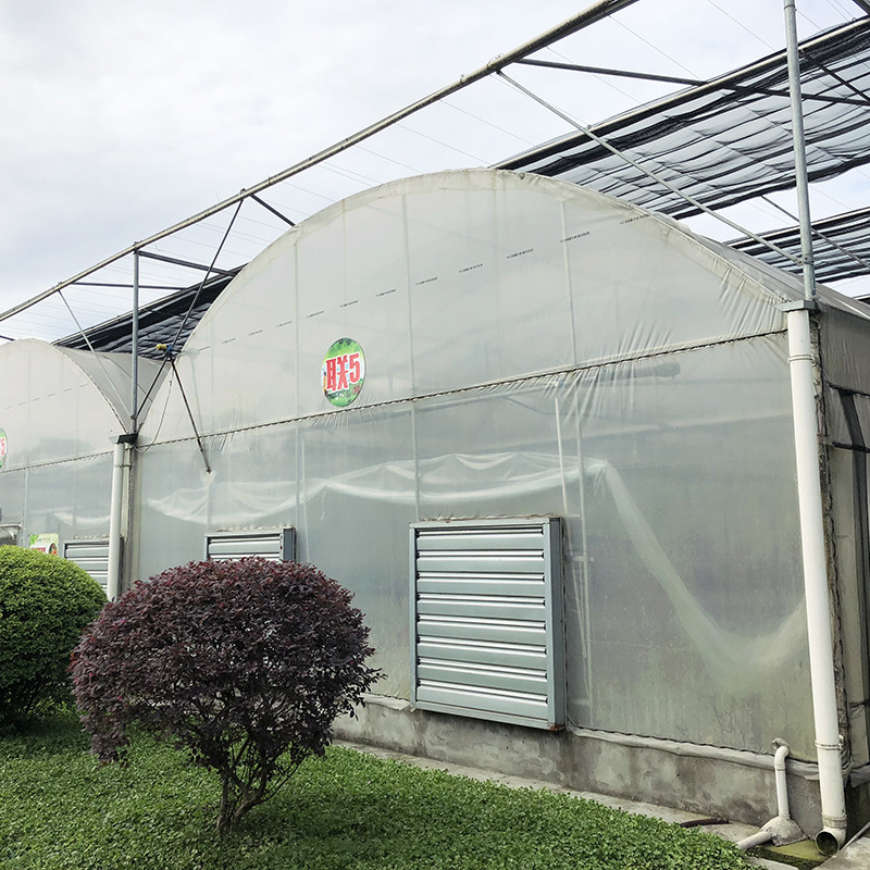 Struttura stabile Film di plastica industriale PE Multi-span Casa di fiori agricola Poli Tunnel Serra