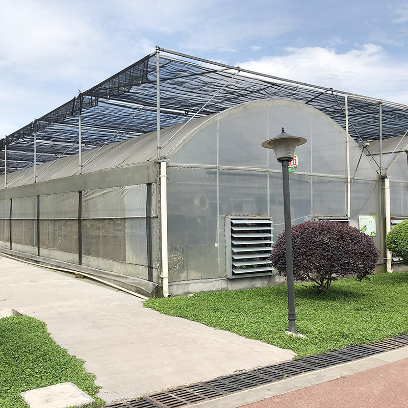 Struttura in acciaio Grande galleria su misura Multi-span di plastica Blueberry serra per la crescita di struttura stabile