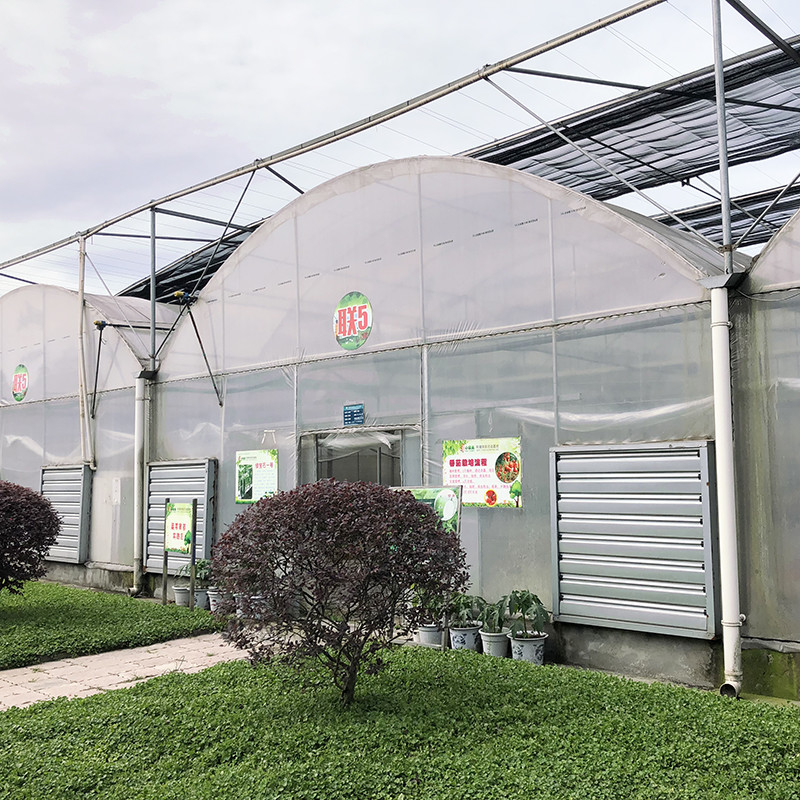 Struttura in acciaio Grande galleria su misura Multi-span di plastica Blueberry serra per la crescita di struttura stabile