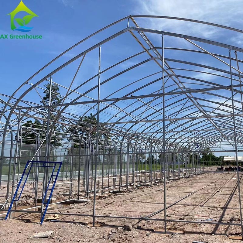 Tenda di serra a pellicola singola per l'agricoltura commerciale