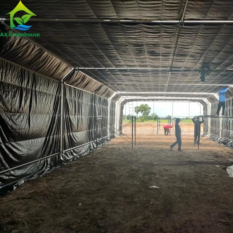 Tenda di serra a pellicola singola per l'agricoltura commerciale