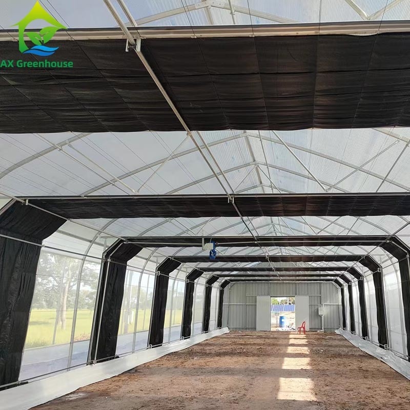 Tenda di serra a pellicola singola per l'agricoltura commerciale