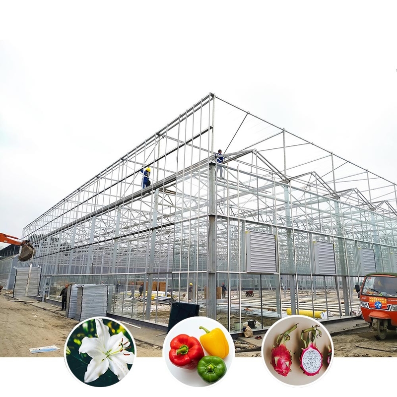 Serra agricola in vetro in stile Venlo a lunghezza multipla con taglia triangolare e ventilazione laterale superiore per la ventilazione
