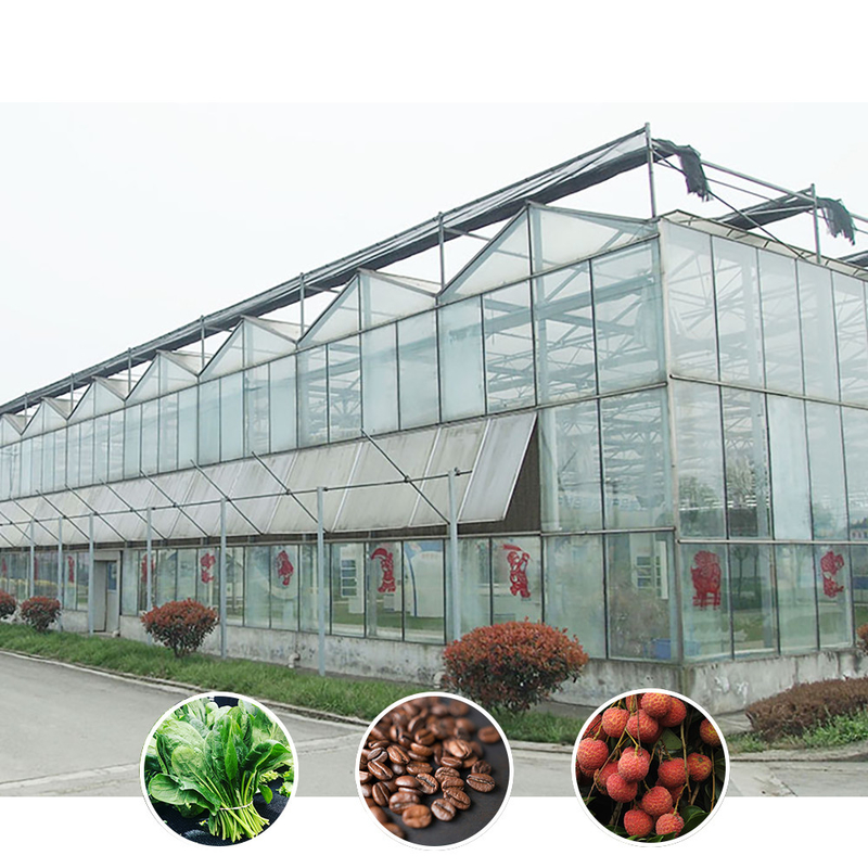 Agricoltura intelligente Vetro temperato agricolo Vetro temperato vetro temperato vetro temperato vetro temperato vetro temperato vetro temperato vetro temperato