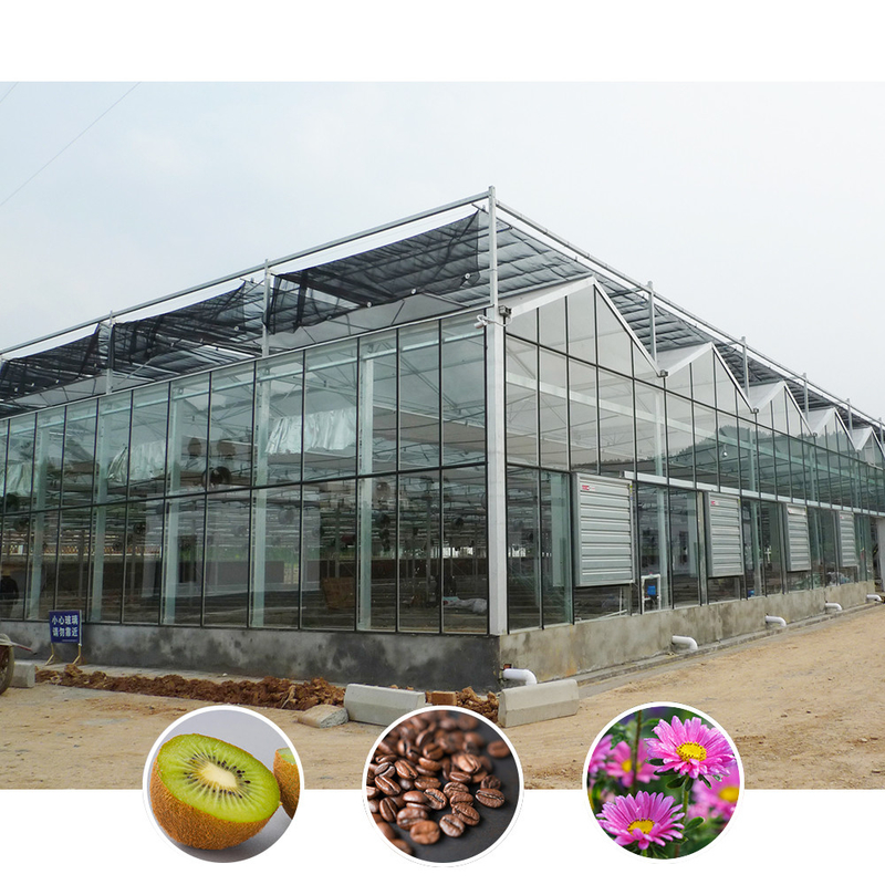 Serra agricola in vetro in stile Venlo a lunghezza multipla con taglia triangolare e ventilazione laterale superiore per la ventilazione
