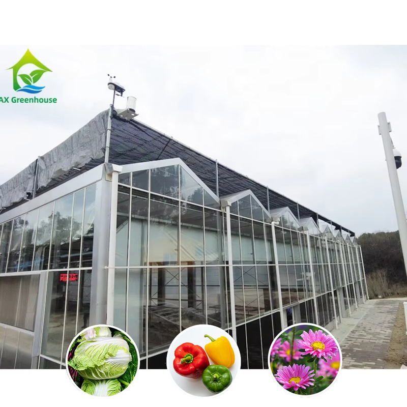 Serra agricola in vetro in stile Venlo a lunghezza multipla con taglia triangolare e ventilazione laterale superiore per la ventilazione