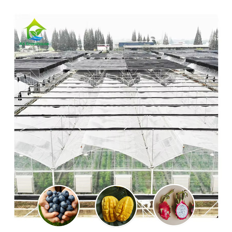 Struttura in acciaio galvanizzato a caldo con pellicola di plastica multi-span