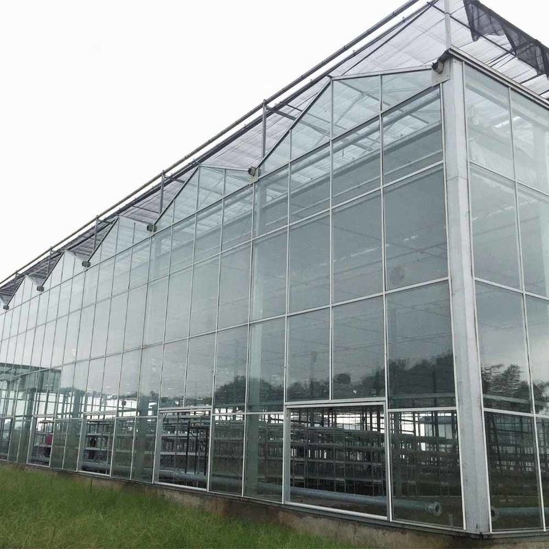 Serra agricola in vetro in stile Venlo a lunghezza multipla con taglia triangolare e ventilazione laterale superiore per la ventilazione