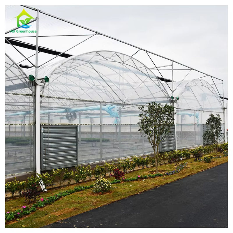 Commerciale Polytunnel Multi-Span Serra Modular Design Coltivazione su larga scala Film UV in acciaio galvanizzato