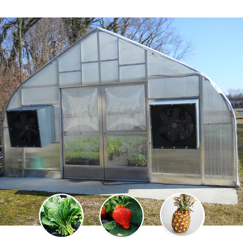 Sistema di ombreggiatura per tutte le stagioni Serra Venlo professionale con sistema di privazione di luce completamente automatizzato e tubature integrate