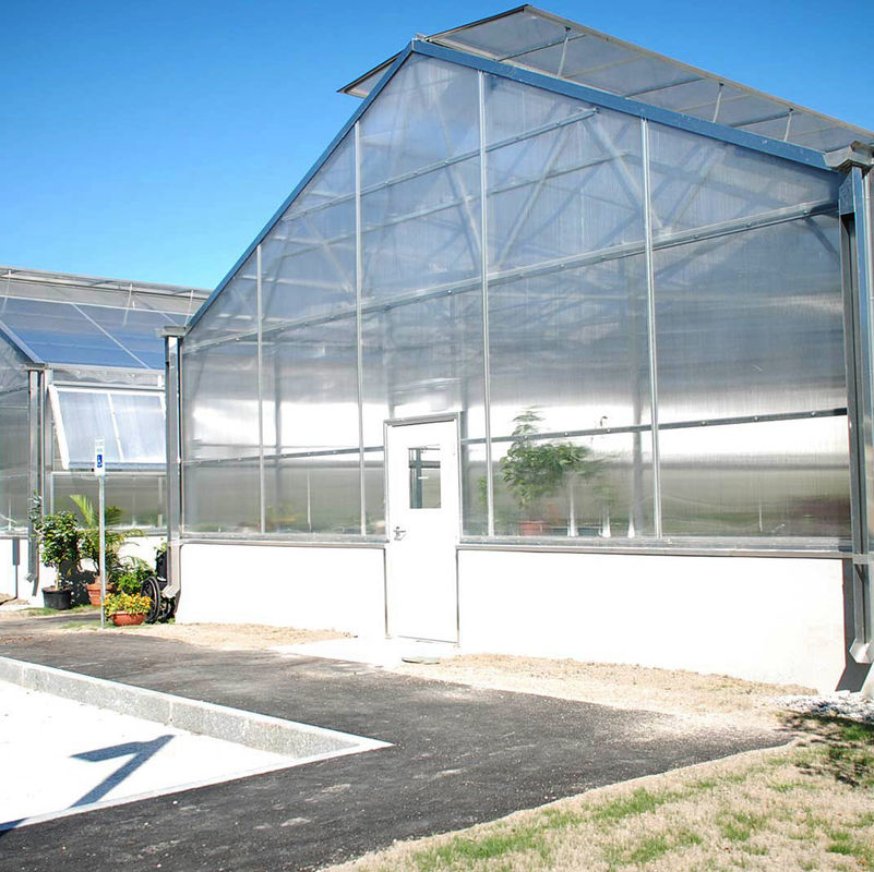 Serra policarbonata multipiano a lunghezza singola e versatile Ideale per ortaggi sementi fiori Agricoltura nel cortile