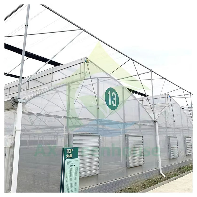 Serra in galleria poliescala con tetto a seghetta per ventilazione naturale e diffusione della luce