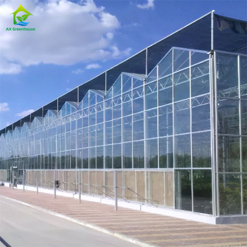 Equipaggiamento per la coltivazione di fragole di ortaggi in vetro resistente serra in policarbonato - kit di serra tutto in uno