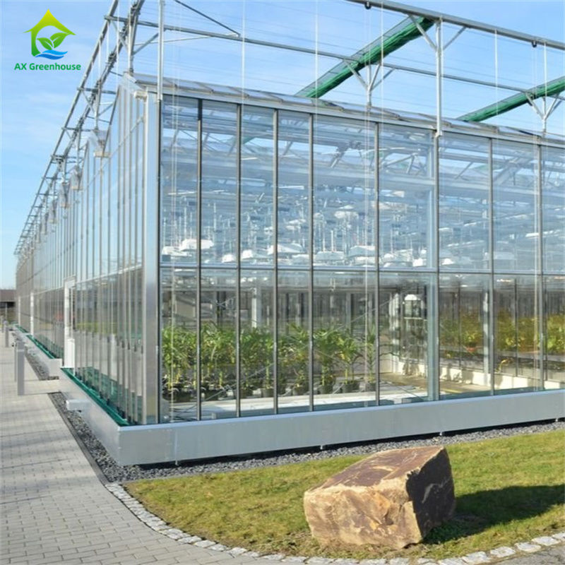 Equipaggiamento per la coltivazione di fragole di ortaggi in vetro resistente serra in policarbonato - kit di serra tutto in uno