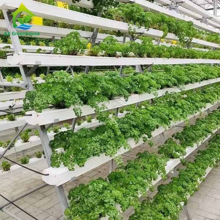 Sistema di coltivazione fuori suolo in serra a telaio A, tecnica del film nutritivo (NFT), canale per la coltivazione efficiente di ortaggi