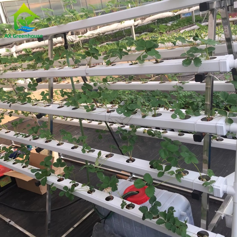 Sistema di coltivazione fuori suolo in serra a telaio A, tecnica del film nutritivo (NFT), canale per la coltivazione efficiente di ortaggi