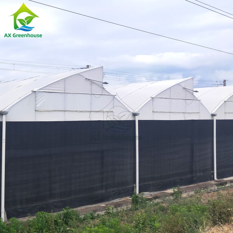 Multi-Span Light Deprivation Greenhouse with Hot-Dip Galvanized Steel Frame and Blackout Sidewall System in Customizable Dimensions