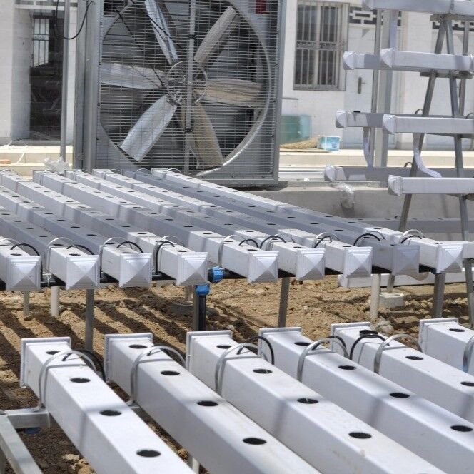 Sistema di canale idroponico in PVC NFT di qualità alimentare con inibitori UV e dimensioni personalizzabili per serre commerciali