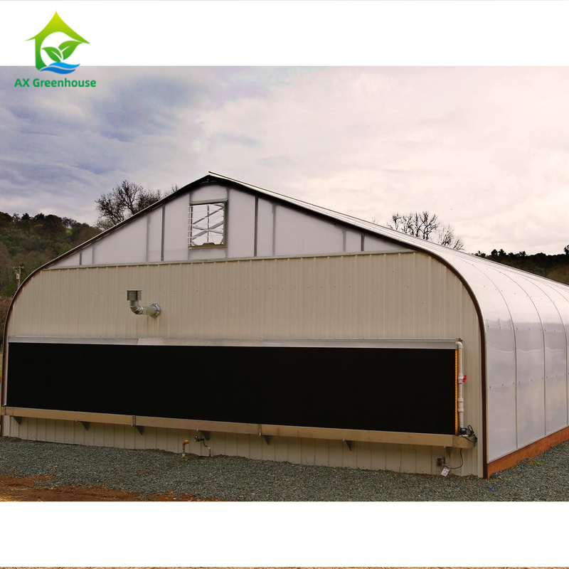sistema di controllo di clima di Dep Grow Tunnel Greenhouse With della luce di altezza della parete di 1,8-3M