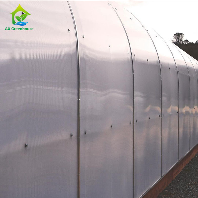 sistema di controllo di clima di Dep Grow Tunnel Greenhouse With della luce di altezza della parete di 1,8-3M
