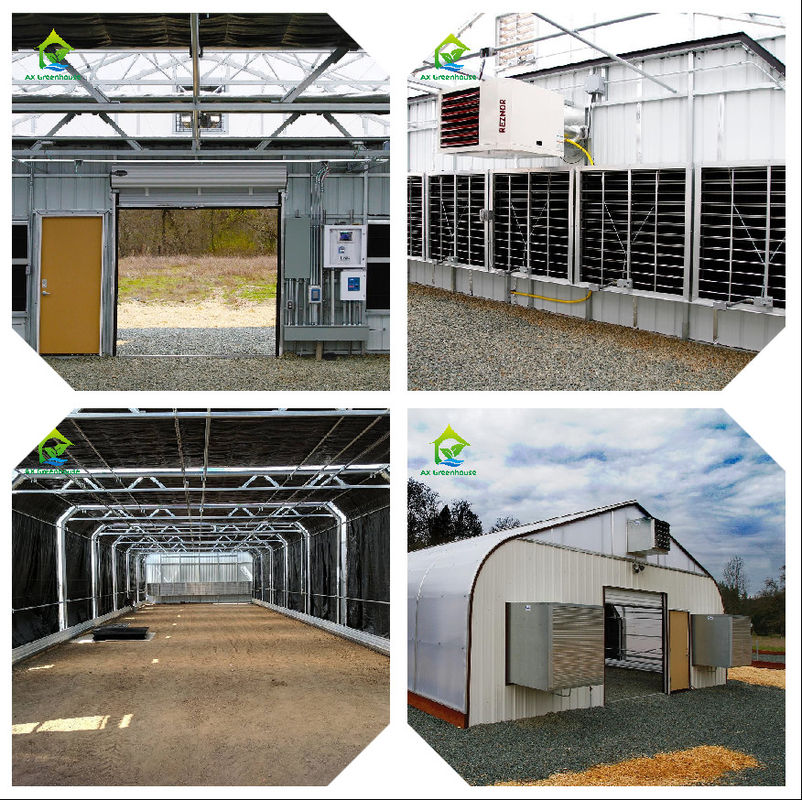 Sistema intelligente di monitoraggio delle serre con potenza AC220V e CO2-concentratore da 0 a 50000 ppm per un controllo ottimale del clima