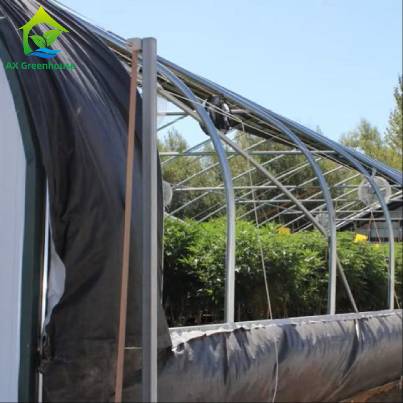 Serra leggera esterna del sistema di blackout di lunghezza della serra 32m-50m di privazione dell'OEM per la coltura del Mariguana