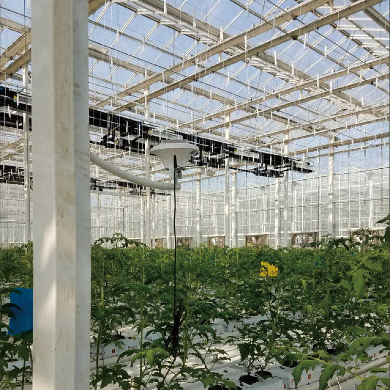 Sistema intelligente di monitoraggio delle serre con potenza AC220V e CO2-concentratore da 0 a 50000 ppm per un controllo ottimale del clima