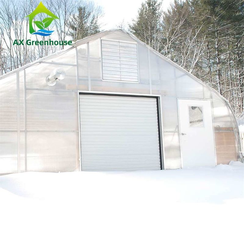 Serra a foglio di PC trasparente facilmente assemblabile con dimensioni personalizzabili e telaio in acciaio galvanizzato a caldo