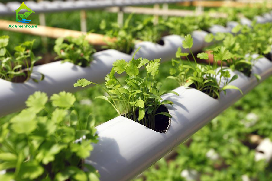 Agricoltura in ambienti chiusi senza suolo Coltivazione di fragole Tubo in PVC per la coltivazione idroponica Sistema NFT in vendita