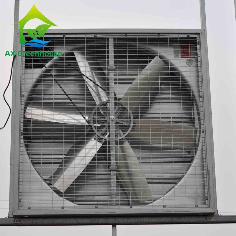 Fan fissati al muro industriali dell'estrattore degli aspiratori bagnati della parete della pala del diametro 500-1250mm