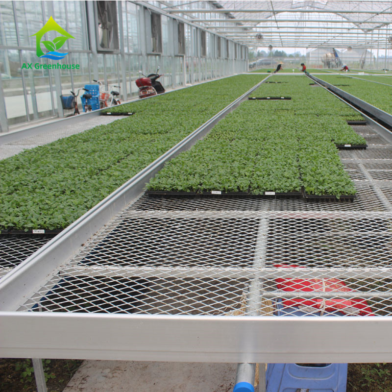 Agricoltura Commerciale Indoor Mesh Wire Greenhouse Grow Table Rolling Bench Per semina