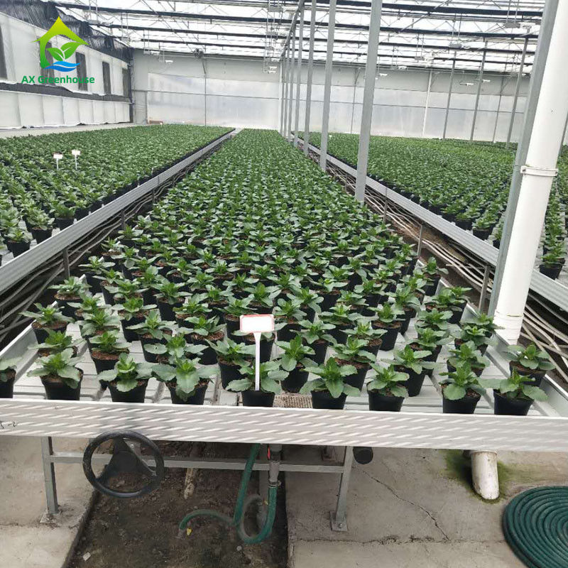 Banchi mobili per serre stabili ed ecologiche con pannello in plastica ABS e telaio in lega di alluminio, in dimensioni personalizzabili