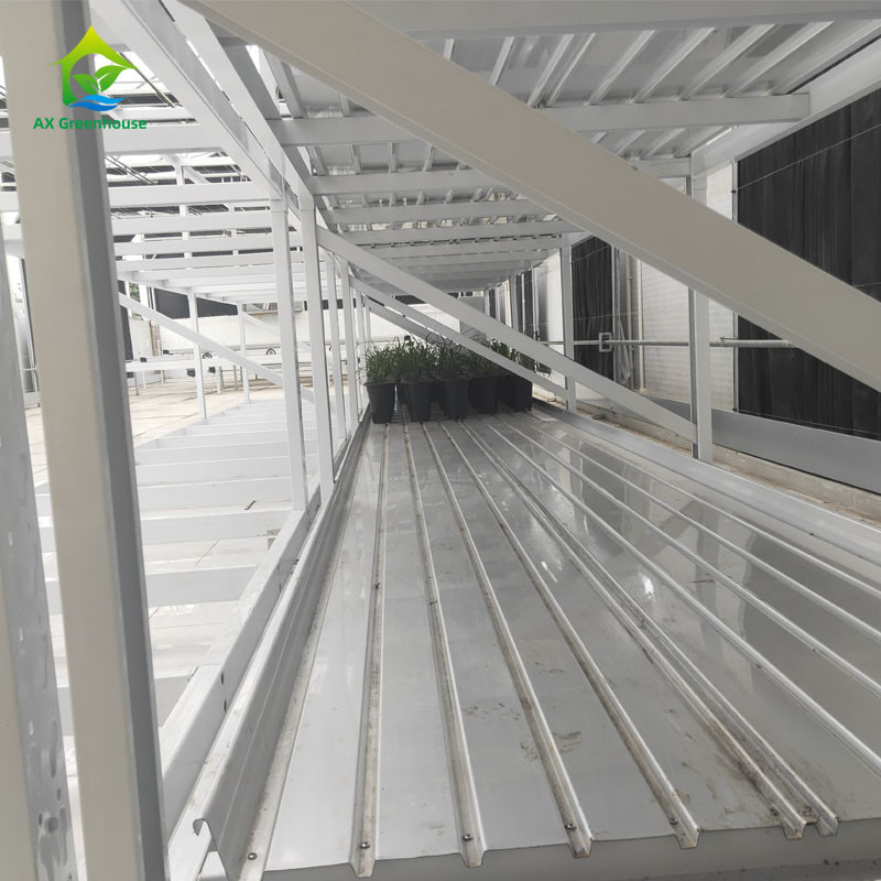 Rack per la coltivazione di erbe medicinali vegetali a doppio strato per agricoltura verticale