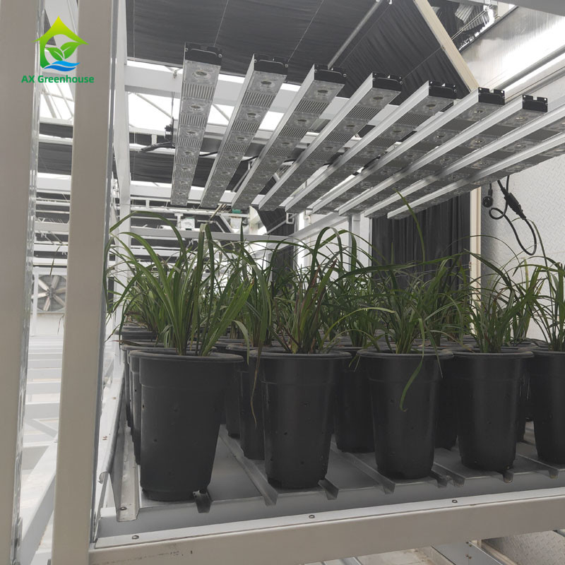 Rack per la coltivazione di erbe medicinali vegetali a doppio strato per agricoltura verticale