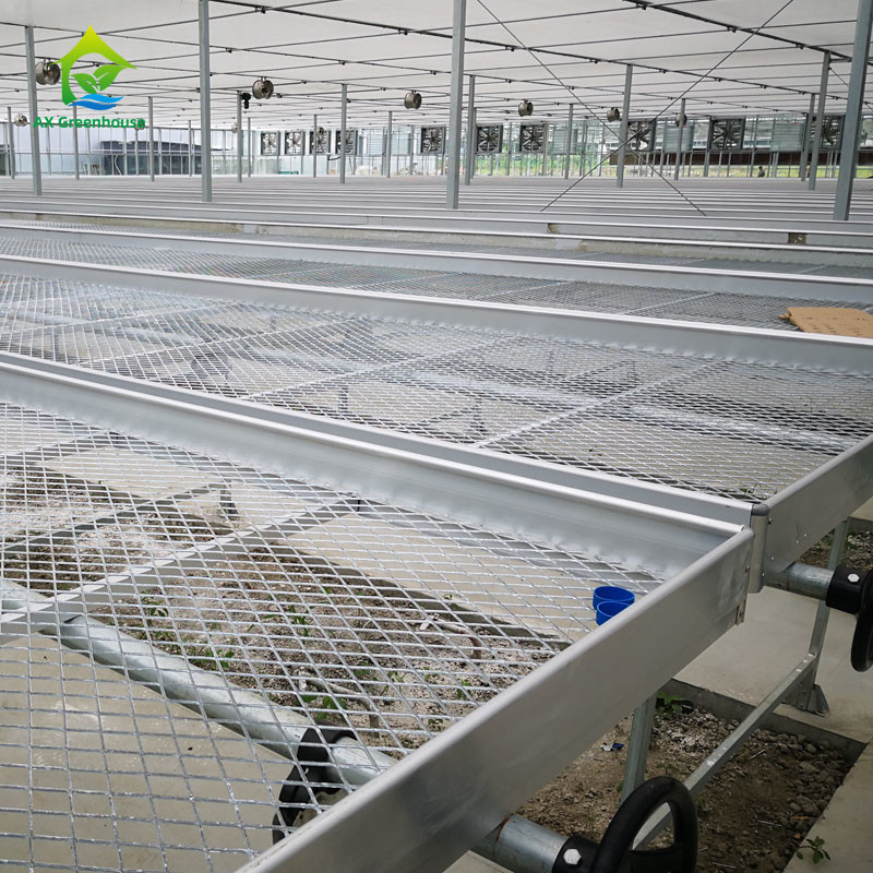 Agricoltura Commerciale Indoor Mesh Wire Greenhouse Grow Table Rolling Bench Per semina