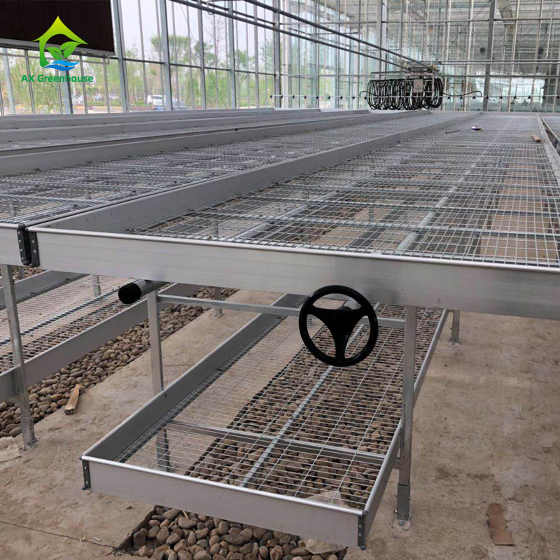 Agricoltura Commerciale Indoor Mesh Wire Greenhouse Grow Table Rolling Bench Per semina