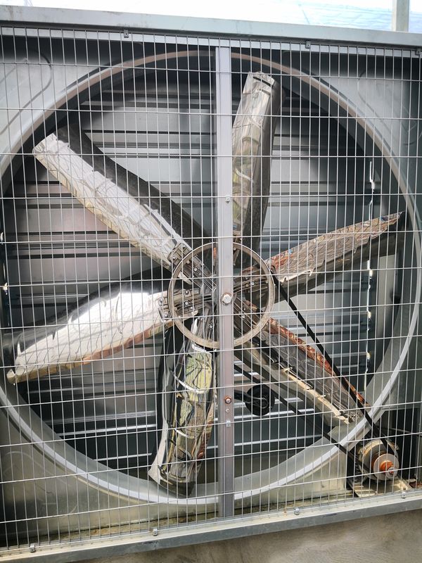 Ventilatori di scarico per serre in alluminio di grado industriale resistenti alla corrosione per raffreddamento evaporativo umido